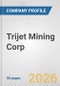 Trijet Mining Corp. Fundamental Company Report Including Financial, SWOT, Competitors and Industry Analysis - Product Thumbnail Image