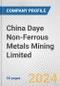 China Daye Non-Ferrous Metals Mining Limited Fundamental Company Report Including Financial, SWOT, Competitors and Industry Analysis - Product Thumbnail Image