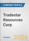 Tradestar Resources Corp. Fundamental Company Report Including Financial, SWOT, Competitors and Industry Analysis - Product Thumbnail Image