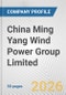 China Ming Yang Wind Power Group Limited Fundamental Company Report Including Financial, SWOT, Competitors and Industry Analysis - Product Thumbnail Image
