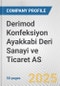 Derimod Konfeksiyon Ayakkabi Deri Sanayi ve Ticaret AS Fundamental Company Report Including Financial, SWOT, Competitors and Industry Analysis - Product Thumbnail Image