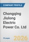 Chongqing Jiulong Electric Power Co. Ltd. Fundamental Company Report Including Financial, SWOT, Competitors and Industry Analysis - Product Thumbnail Image