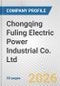 Chongqing Fuling Electric Power Industrial Co. Ltd. Fundamental Company Report Including Financial, SWOT, Competitors and Industry Analysis - Product Thumbnail Image