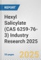 Hexyl Salicylate (CAS 6259-76-3) Industry Research 2025: Global and Regional Market Trends 2019-2024 and Forecast to 2029 - Product Image