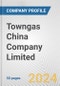 Towngas China Company Limited Fundamental Company Report Including Financial, SWOT, Competitors and Industry Analysis - Product Thumbnail Image