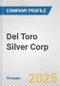 Del Toro Silver Corp. Fundamental Company Report Including Financial, SWOT, Competitors and Industry Analysis - Product Thumbnail Image