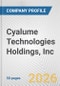 Cyalume Technologies Holdings, Inc. Fundamental Company Report Including Financial, SWOT, Competitors and Industry Analysis - Product Thumbnail Image