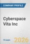 Cyberspace Vita Inc. Fundamental Company Report Including Financial, SWOT, Competitors and Industry Analysis - Product Thumbnail Image