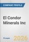El Condor Minerals Inc. Fundamental Company Report Including Financial, SWOT, Competitors and Industry Analysis - Product Thumbnail Image