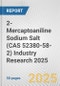 2-Mercaptoaniline Sodium Salt (CAS 52380-58-2) Industry Research 2025: Global and Regional Market Trends 2019-2024 and Forecast to 2029 - Product Thumbnail Image