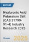 Hyaluronic Acid Potassium Salt (CAS 31799-91-4) Industry Research 2025: Global and Regional Market Trends 2019-2024 and Forecast to 2029 - Product Thumbnail Image