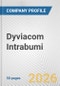 Dyviacom Intrabumi Fundamental Company Report Including Financial, SWOT, Competitors and Industry Analysis - Product Thumbnail Image