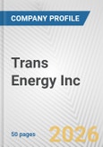 Trans Energy Inc. Fundamental Company Report Including Financial, SWOT, Competitors and Industry Analysis- Product Image