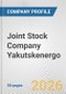Joint Stock Company Yakutskenergo Fundamental Company Report Including Financial, SWOT, Competitors and Industry Analysis - Product Thumbnail Image