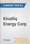 Kivalliq Energy Corp. Fundamental Company Report Including Financial, SWOT, Competitors and Industry Analysis - Product Thumbnail Image