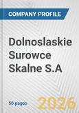 Dolnoslaskie Surowce Skalne S.A. Fundamental Company Report Including Financial, SWOT, Competitors and Industry Analysis- Product Image