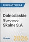 Dolnoslaskie Surowce Skalne S.A. Fundamental Company Report Including Financial, SWOT, Competitors and Industry Analysis - Product Thumbnail Image