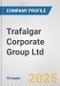 Trafalgar Corporate Group Ltd. Fundamental Company Report Including Financial, SWOT, Competitors and Industry Analysis - Product Thumbnail Image