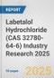 Labetalol Hydrochloride (CAS 32780-64-6) Industry Research 2025: Global and Regional Market Trends 2019-2024 and Forecast to 2029 - Product Thumbnail Image