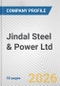 Jindal Steel & Power Ltd. Fundamental Company Report Including Financial, SWOT, Competitors and Industry Analysis - Product Thumbnail Image