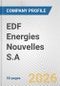 EDF Energies Nouvelles S.A. Fundamental Company Report Including Financial, SWOT, Competitors and Industry Analysis - Product Thumbnail Image