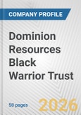 Dominion Resources Black Warrior Trust Fundamental Company Report Including Financial, SWOT, Competitors and Industry Analysis- Product Image