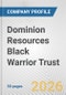 Dominion Resources Black Warrior Trust Fundamental Company Report Including Financial, SWOT, Competitors and Industry Analysis - Product Thumbnail Image