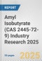Amyl Isobutyrate (CAS 2445-72-9) Industry Research 2025: Global and Regional Market Trends 2019-2024 and Forecast to 2029 - Product Thumbnail Image