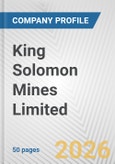 King Solomon Mines Limited Fundamental Company Report Including Financial, SWOT, Competitors and Industry Analysis- Product Image
