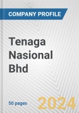 Tenaga Nasional Bhd Fundamental Company Report Including Financial, SWOT, Competitors and Industry Analysis- Product Image