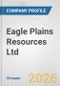 Eagle Plains Resources Ltd. Fundamental Company Report Including Financial, SWOT, Competitors and Industry Analysis - Product Thumbnail Image