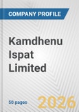 Kamdhenu Ispat Limited Fundamental Company Report Including Financial, SWOT, Competitors and Industry Analysis- Product Image