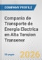 Compania de Transporte de Energia Electrica en Alta Tension Transener Fundamental Company Report Including Financial, SWOT, Competitors and Industry Analysis - Product Thumbnail Image