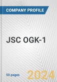 JSC OGK-1 Fundamental Company Report Including Financial, SWOT, Competitors and Industry Analysis- Product Image