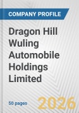 Dragon Hill Wuling Automobile Holdings Limited Fundamental Company Report Including Financial, SWOT, Competitors and Industry Analysis- Product Image
