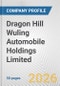 Dragon Hill Wuling Automobile Holdings Limited Fundamental Company Report Including Financial, SWOT, Competitors and Industry Analysis - Product Thumbnail Image