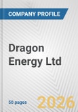 Dragon Energy Ltd. Fundamental Company Report Including Financial, SWOT, Competitors and Industry Analysis- Product Image