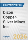 Dizon Copper-Silver Mines Inc. Fundamental Company Report Including Financial, SWOT, Competitors and Industry Analysis- Product Image
