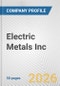 Electric Metals Inc. Fundamental Company Report Including Financial, SWOT, Competitors and Industry Analysis - Product Thumbnail Image