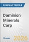 Dominion Minerals Corp. Fundamental Company Report Including Financial, SWOT, Competitors and Industry Analysis - Product Thumbnail Image