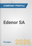 Edenor SA Fundamental Company Report Including Financial, SWOT, Competitors and Industry Analysis- Product Image