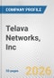Telava Networks, Inc. Fundamental Company Report Including Financial, SWOT, Competitors and Industry Analysis - Product Thumbnail Image