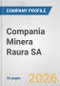 Compania Minera Raura SA Fundamental Company Report Including Financial, SWOT, Competitors and Industry Analysis - Product Thumbnail Image