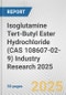 Isoglutamine Tert-Butyl Ester Hydrochloride (CAS 108607-02-9) Industry Research 2025: Global and Regional Market Trends 2019-2024 and Forecast to 2029 - Product Image