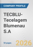 TECBLU-Tecelagem Blumenau S.A. Fundamental Company Report Including Financial, SWOT, Competitors and Industry Analysis- Product Image