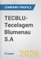 TECBLU-Tecelagem Blumenau S.A. Fundamental Company Report Including Financial, SWOT, Competitors and Industry Analysis - Product Thumbnail Image