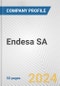 Endesa SA Fundamental Company Report Including Financial, SWOT, Competitors and Industry Analysis - Product Thumbnail Image