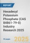 Hexadecyl Potassium Phosphate (CAS 84861-79-0) Industry Research 2025: Global and Regional Market Trends 2019-2024 and Forecast to 2029 - Product Thumbnail Image