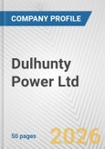 Dulhunty Power Ltd. Fundamental Company Report Including Financial, SWOT, Competitors and Industry Analysis- Product Image