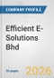 Efficient E-Solutions Bhd Fundamental Company Report Including Financial, SWOT, Competitors and Industry Analysis - Product Thumbnail Image